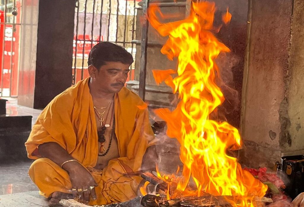 Jyotish Sarbagya Palash